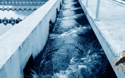 How Control Systems Improve Wastewater Efficiency